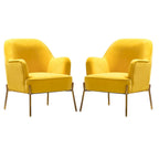 Sillón Acentual de Terciopelo con Patas Doradas