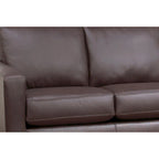 Sofá y sillón de cuero flor italiano