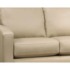 Sofá y sillón de cuero flor italiano